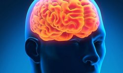 Мезиальный склероз — опасное осложение при эпилепсии